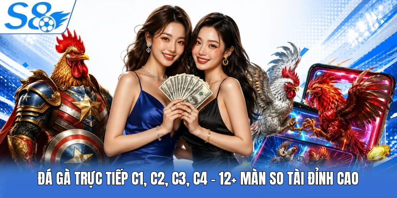 Đá Gà Trực Tiếp C1, C2, C3, C4 - 12+ Màn So Tài Đỉnh Cao