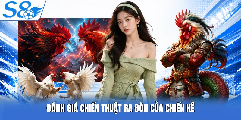 Đánh giá chiến thuật ra đòn của chiến kê