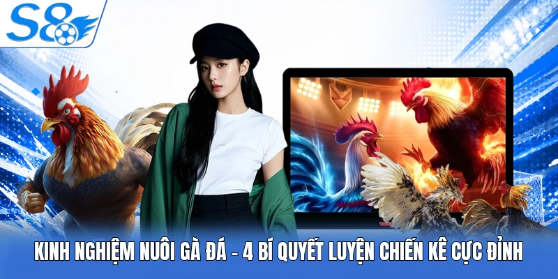 Kinh Nghiệm Nuôi Gà Đá | 4 Bí Quyết Luyện Chiến Kê Đỉnh